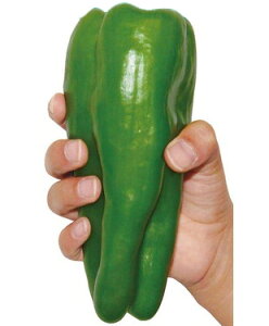 Ƃ񂪂p[ 500 s[} ҁ[܂ yig   ^l zyʏ5{ 5̂̓|Cg10{z