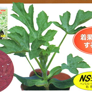 FR-x[XCJ[ 2000  _CM  yig   ^l zyʏ5{ 5̂̓|Cg10{z