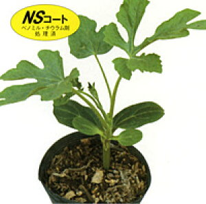 FR-_gc 400  _CM  yig   ^l zyʏ5{ 5̂̓|Cg10{z