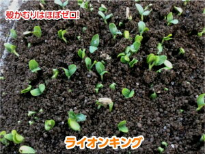 CILO 400  _CM  yig   ^l zyʏ5{ 5̂̓|Cg10{z