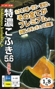 Zӂ5.6 100 Z J{` ڂ yig   ^l zyʏ5{ 5̂̓|Cg10{z