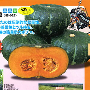 I܂ 500 Z J{` ڂ yig   ^l zyʏ5{ 5̂̓|Cg10{z