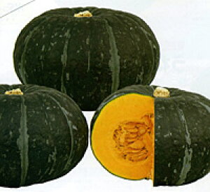  100 Z J{` ڂ yig   ^l zyʏ5{ 5̂̓|Cg10{z