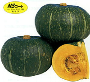 ˂ 1dl Z J{` ڂ yig   ^l zyʏ5{ 5̂̓|Cg10{z