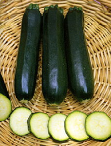 XO[ 100 YbL[j igzyig   ^l zyʏ5{ 5̂̓|Cg10{z