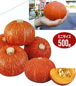 PiЂ߁j 100 Z J{` ڂ yig   ^l zyʏ5{ 5̂̓|Cg10{z