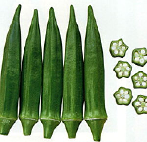 AxO[ 2000 IN  yig   ^l zyʏ5{ 5̂̓|Cg10{z