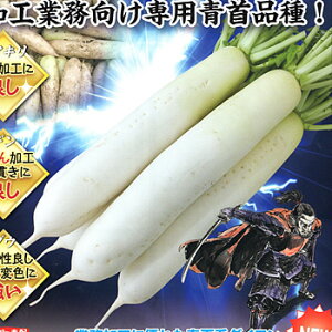 ؓ` 2dl 卪 _CR  yig   ^l zyʏ5{ 5̂̓|Cg10{z