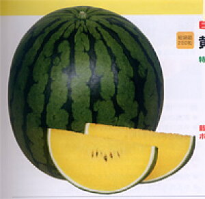 ʁ@Pi݂Ђ߁j 200 XCJ  Z yig   ^l zyʏ5{ 5̂̓|Cg10{z