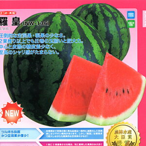 ʁ@c 200 XCJ  Z yig   ^l zyʏ5{ 5̂̓|Cg10{z