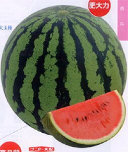 ʁ@gEiׂɂႭj 200 XCJ  Z yig   ^l zyʏ5{ 5̂̓|Cg10{z