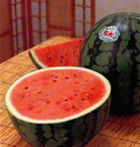 ʁ@g 200 XCJ  Z yig   ^l zyʏ5{ 5̂̓|Cg10{z