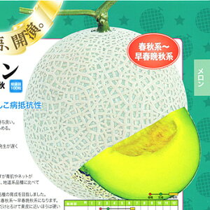 Γ@A[X[tӏH 100 ߂  rZ yig   ^l zyʏ5{ 5̂̓|Cg10{z