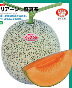 ԓ@}A[WČn 100 ߂  rZ yig   ^l zyʏ5{ 5̂̓|Cg10{z