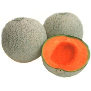 t̃}A[WR1 100 ߂  rZ yig   ^l zyʏ5{ 5̂̓|Cg10{z