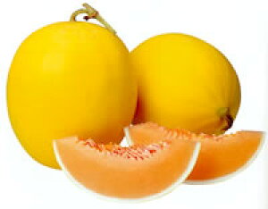 @VOi 100 ߂  rZ yig   ^l zyʏ5{ 5̂̓|Cg10{z