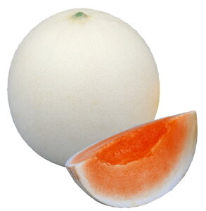 @lINIl 100 ߂  rZ yig   ^l zyʏ5{ 5̂̓|Cg10{z