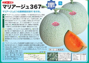 }A[W367 100 ߂  rZ yig   ^l zyʏ5{ 5̂̓|Cg10{z