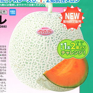 �}���A�[�W�����t�� 100�� �߂�� ������ �r�Z �y�i���g �� ���� �^�l �z�y�ʏ�5�{ 5�̂����̓|�C���g10�{�z