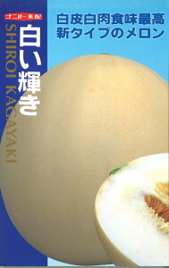 P 100 ߂  rZ yig   ^l zyʏ5{ 5̂̓|Cg10{z