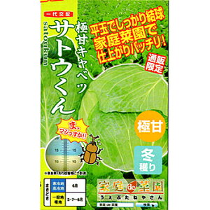 TgE R[g5痱 Lxcyig   ^lzyʏ5{ 5̂̓|Cg10{z