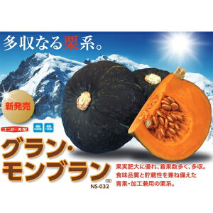 OEu 500 Z J{` ڂ yig   ^l zyʏ5{ 5̂̓|Cg10{z