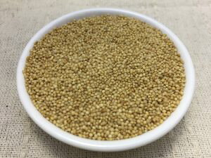 A}TX 1Ll A}TX ܂񂳂ysc   ^lzyʏ5{ 5̂̓|Cg10{z