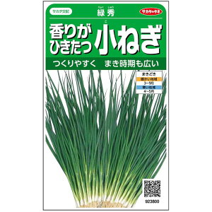 ΏGK 1L K lM ˂yTJ^   ^lzyʏ5{ 5̂̓|Cg10{z