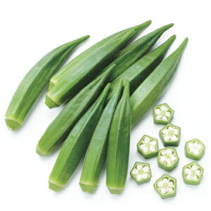 ずーっとみどり 1000粒 オクラ おくら 【サカタ 種 たね タネ】【通常5倍 5のつく日はポイント10倍】