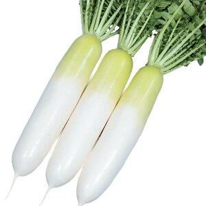 ~̎ ybg5000 卪 _CR yTJ^   ^lzyʏ5{ 5̂̓|Cg10{z