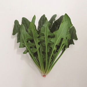 ߌY PRIMAX@M3 ق @@ zE\E ق񂻂yTJ^   ^lzyʏ5{ 5̂̓|Cg10{z