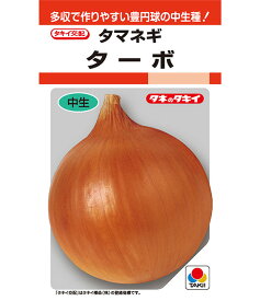【品薄 按分、品切れ恐れ有】ターボ玉葱(たーぼ) タキイ交配 ペレット1万粒 玉ねぎ たまねぎ 玉葱 タマネギ【タキイ 種 たね タネ】【通常5倍 5のつく日はポイント10倍】