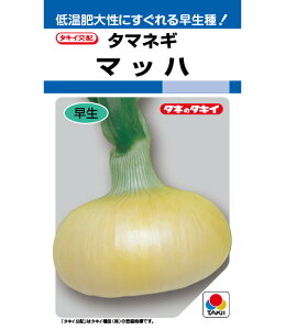 }bnʔK(܂) ^LCz 2dlX^hpbN200ml ʂ˂ ܂˂ ʔK ^}lMy^LC   ^lzyʏ5{ 5̂̓|Cg10{z