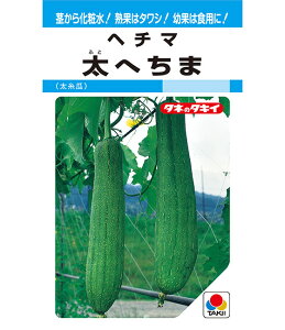 Z(ւ) 500 w`} ւ Zy^LC   ^lzyʏ5{ 5̂̓|Cg10{z