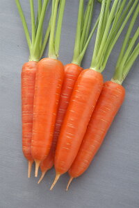 ~ L1 jW ɂ񂶂 lQy^LC   ^lzyʏ5{ 5̂̓|Cg10{z