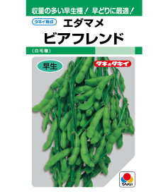 ビアフレンド枝豆 タキイ育成 1L 枝豆 えだまめ エダマメ【タキイ 種 たね タネ】【通常5倍 5のつく日はポイント10倍】