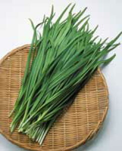 j[xg 2dl B j ɂygL^   ^lzyʏ5{ 5̂̓|Cg10{z