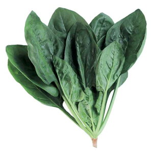 ӒNXI[o[ 3 ق @@ zE\E ق񂻂 _Cz ygL^   ^lzyʏ5{ 5̂̓|Cg10{z