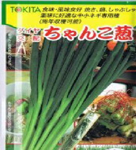 񂱔K2 R[g20000 K lM ˂ _Cz ygL^   ^lzyʏ5{ 5̂̓|Cg10{z