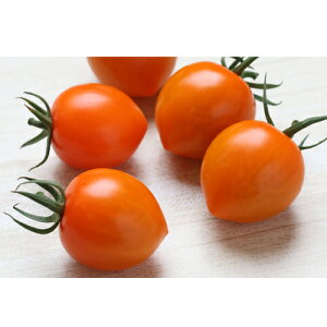 g}gx[IW 100 ~jg}g Ƃ܂ ׉ _Cz ygL^   ^lzyʏ5{ 5̂̓|Cg10{z