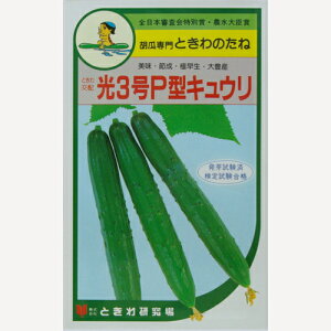 3P^ 350 ӉZ LE イ3P^ 350 Ƃz yƂ팤   ^lzyʏ5{ 5̂̓|Cg10{z