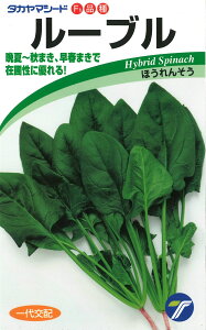 [u 1L ق @@ zE\E ق񂻂y^J}V[h   ^l zyʏ5{ 5̂̓|Cg10{z