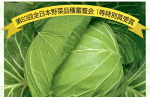 j ybg5000 LxcynӍ̎   ^l zyʏ5{ 5̂̓|Cg10{z