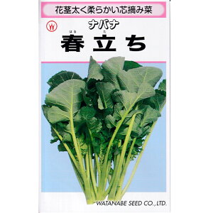 �t�����Ȃ΂� 20ml �؉� �i�o�i �Ȃ΂ȁy�n�Ӎ̎�� �� ���� �^�l �z�y�ʏ�5�{ 5�̂����̓|�C���g10�{�z