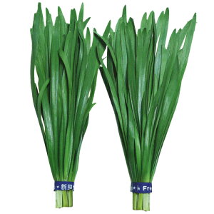 V[gX[v R[g5000 B j ɂ ynӍ̎   ^l zyʏ5{ 5̂̓|Cg10{z