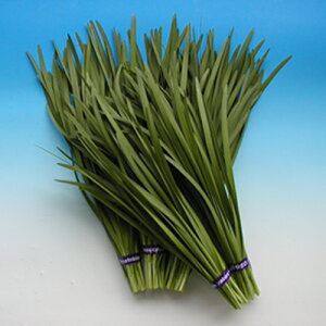 ^tKC 5000iR[g2Lj B j ɂ G琬 y]_|   ^lzyʏ5{ 5̂̓|Cg10{ΏۊOi|Cg3{Œ菤iz