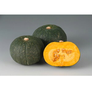 Δu 100 Z J{` ڂ Gz y]_|   ^lzyʏ5{ 5̂̓|Cg10{ΏۊOi|Cg3{Œ菤iz