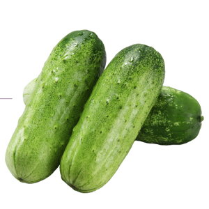 ςV 100 ӉZ LE イςV@ya_   ^l zyʏ5{ 5̂̓|Cg10{z