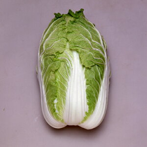 ~h 10ml  nNTC ͂ya_   ^lzyʏ5{ 5̂̓|Cg10{z