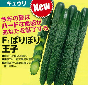 ςۂ艤q 100 ӉZ LE イ ya_   ^l zyʏ5{ 5̂̓|Cg10{z